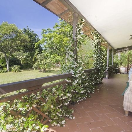 Villa Monserrato - Goelba ポルト・アッズッロ エクステリア 写真