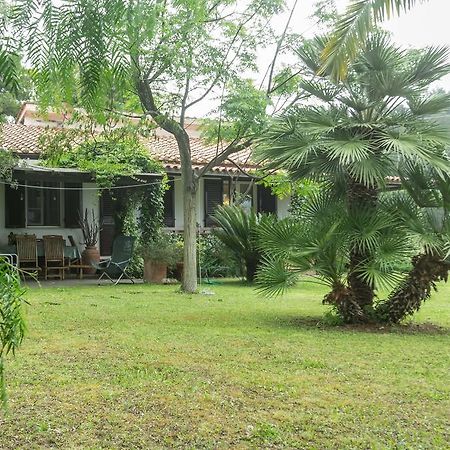 Villa Monserrato - Goelba ポルト・アッズッロ エクステリア 写真