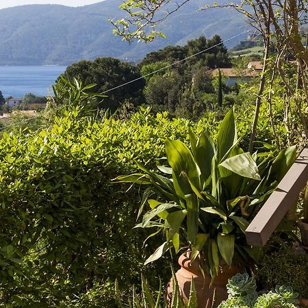 Villa Monserrato - Goelba ポルト・アッズッロ エクステリア 写真