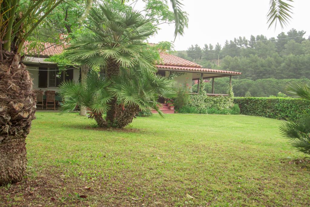 Villa Monserrato - Goelba ポルト・アッズッロ エクステリア 写真